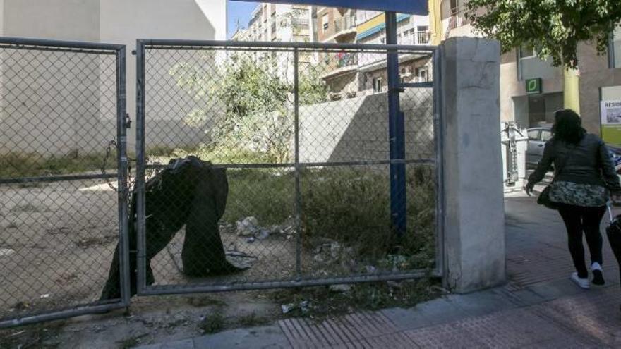 Un solar del centro de Elche, donde colocan comida sin control, para alimentar a felinos.