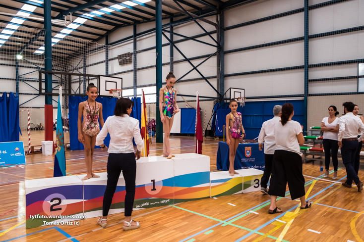 Regional de gimnasia rítmica