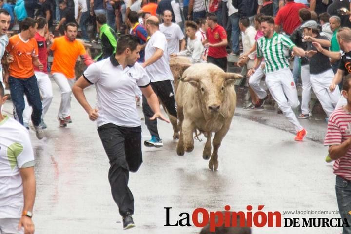 Cuarto encierro Feria del Arroz 2015, Calasparra