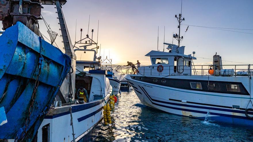 Sin médico en Alicante para los reconocimientos que necesitan marineros y pescadores