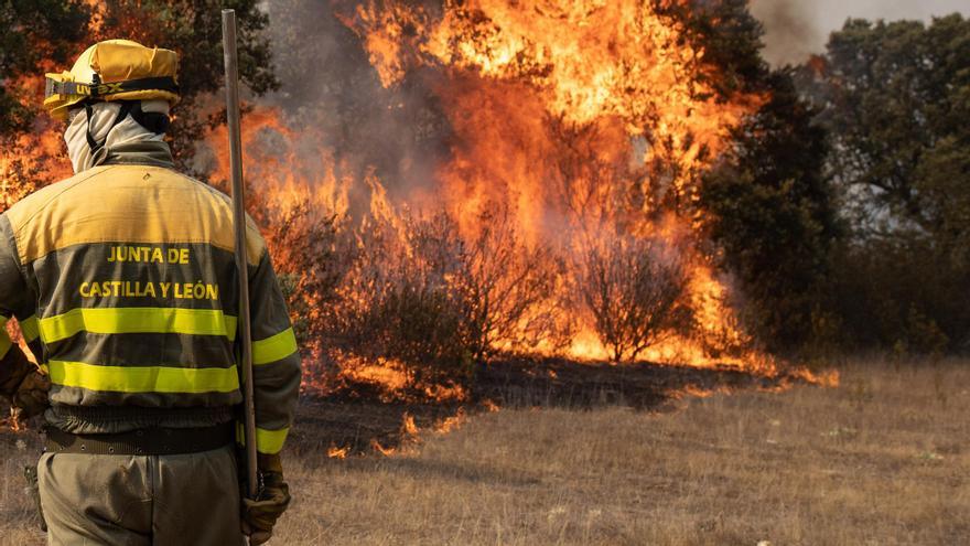 Declarado un incendio accidental en Manganeses de la Polvorosa