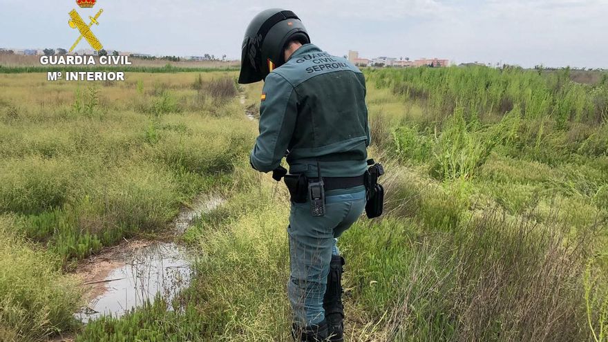 Los delitos por maltrato animal, urbanismo e incendios se duplican en Castellón