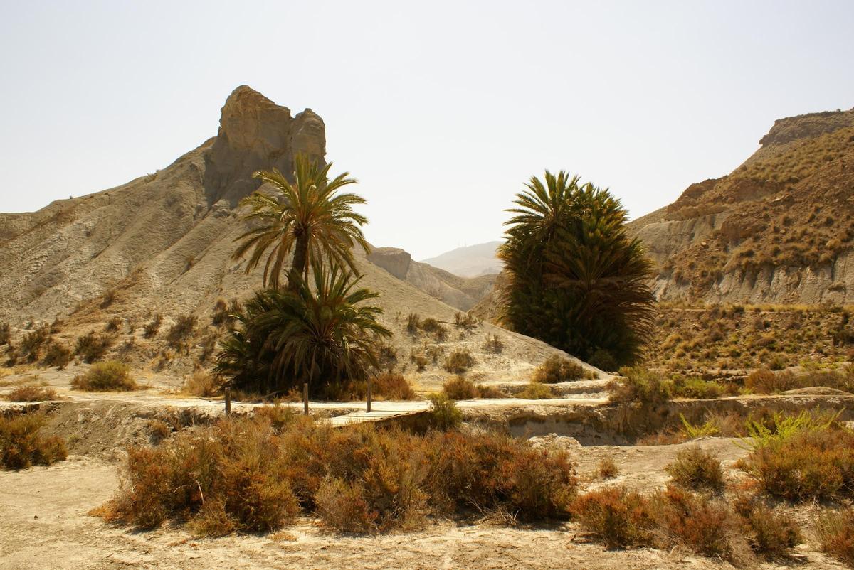 Desierto de Tabernas en Almería