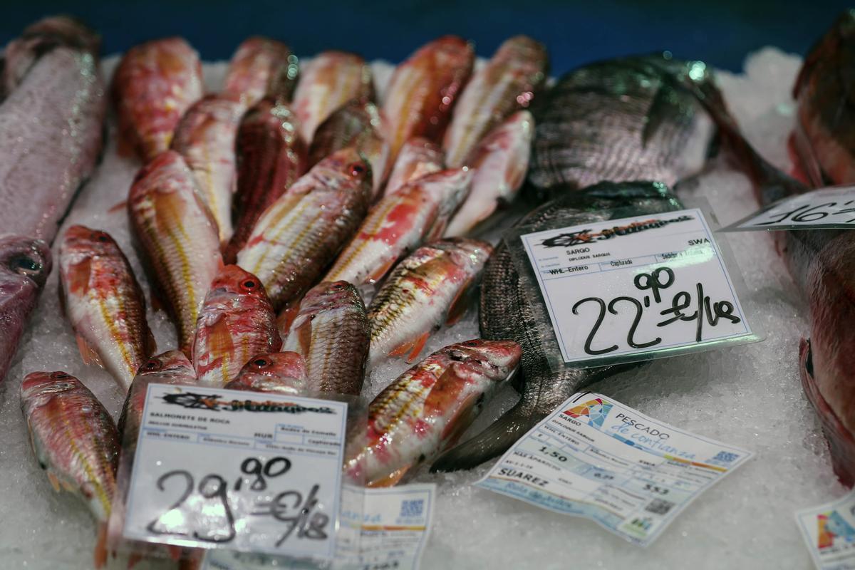 Producto a la venta en una pescadería del mercado de El Fontán, en Oviedo. EFE/J.L. Cereijido.