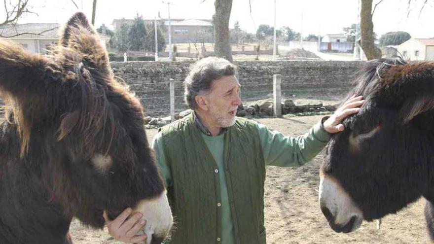 Miguel Alejo con los dos burros que forman parte de la pequeña ganadería que tiene en Almeida.