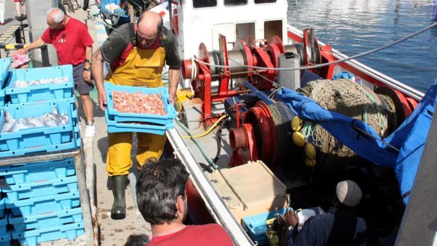 Finalitza la primera part de la veda de pesca de gamba de la confraria de Palamós