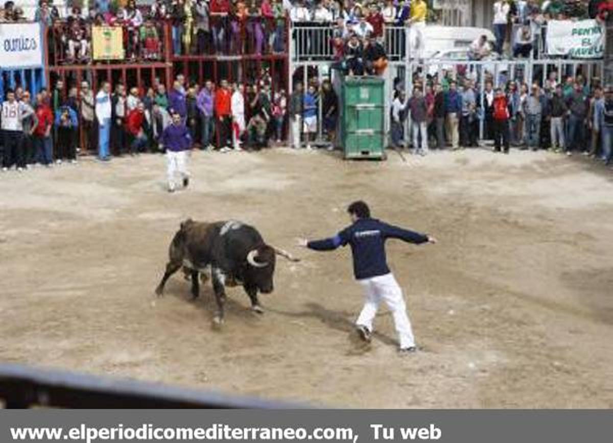 GALERÍA DE FOTOS - Almassora continua con su semana taurina