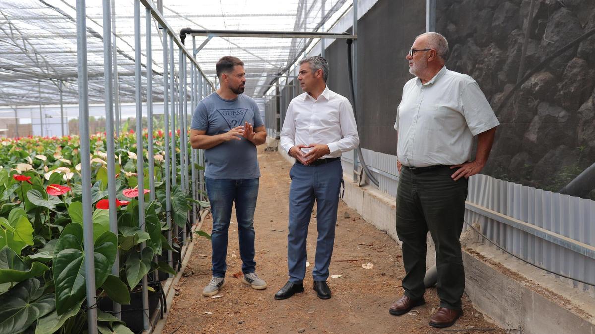 El consejero de Agricultura, Ganadería, Pesca y Soberanía Alimentaria del Gobierno de Canarias, Narvay Quintero, en la finca del agricultor Héctor Manuel González Márquez