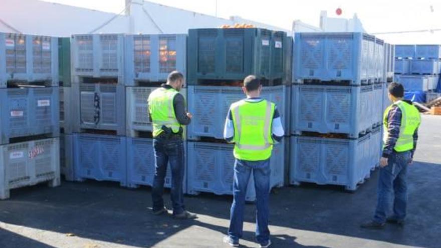 Agentes de la Guardia Civil con fruta intervenida.