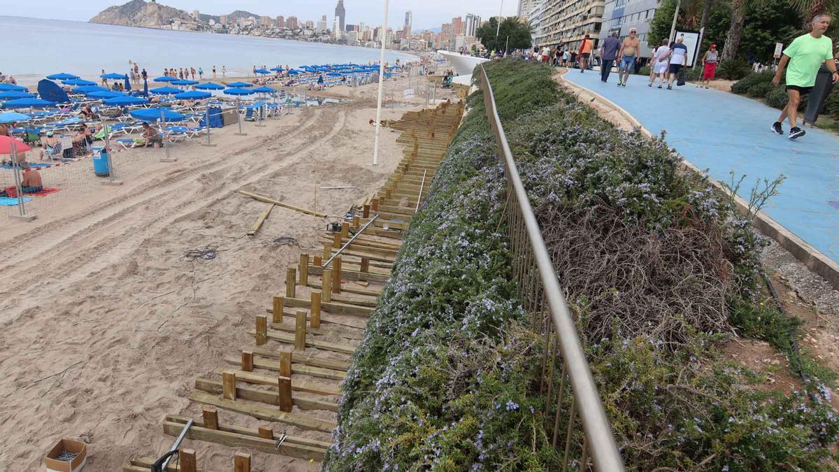 Los trabajos a la altura del parque de Elche.