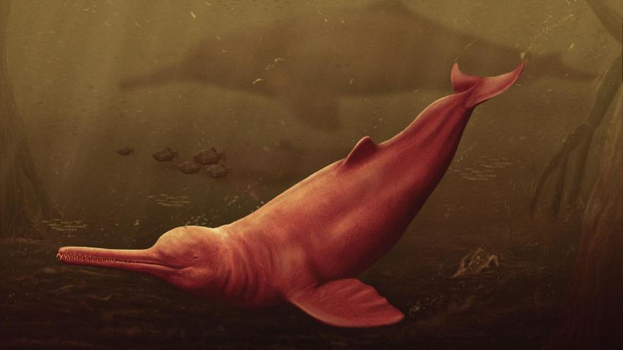 Descubren los restos de un delfín gigante de agua dulce en la Amazonía
