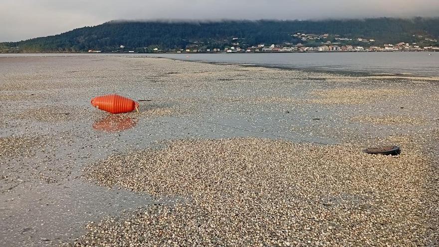 El marisqueo agoniza y pide ayudas directas para sobrevivir: "Esto se acaba"