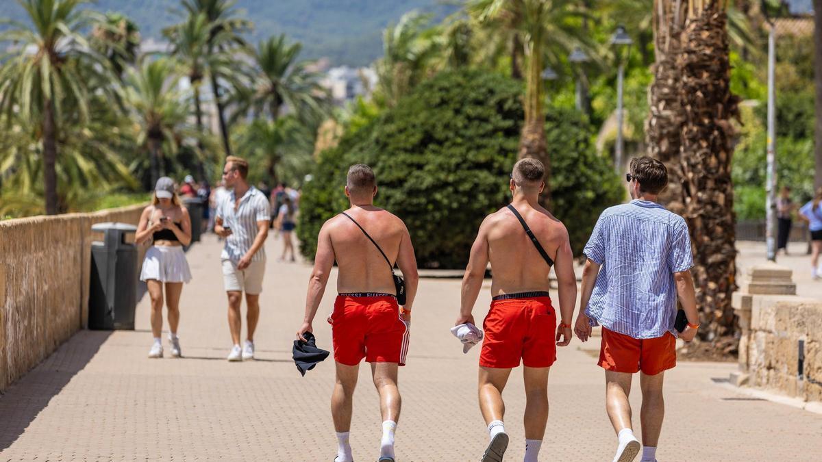 EL TIEMPO MALLORCA | Alerta amarilla por calor en el interior de Mallorca con máximas de hasta 36 grados