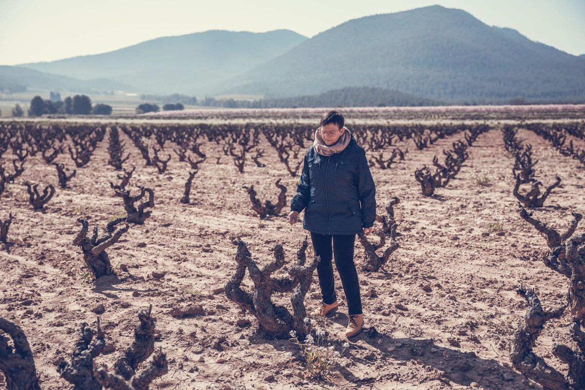 Pepa Fernández - Bodega Balcona