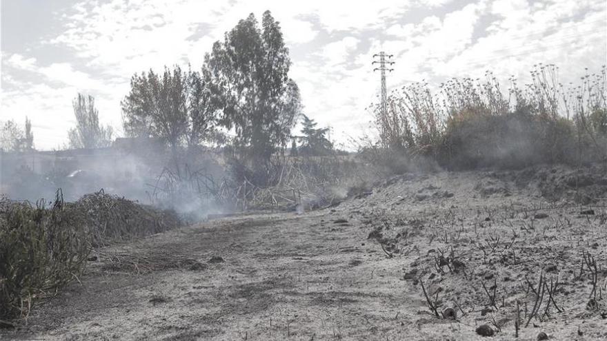 Un hombre de 39 años, intoxicado en un fuego agrícola en Fuente Obejuna