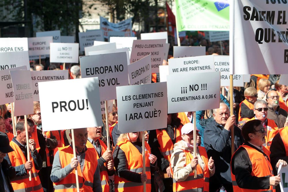 Manifestación en defensa del sector citrícola