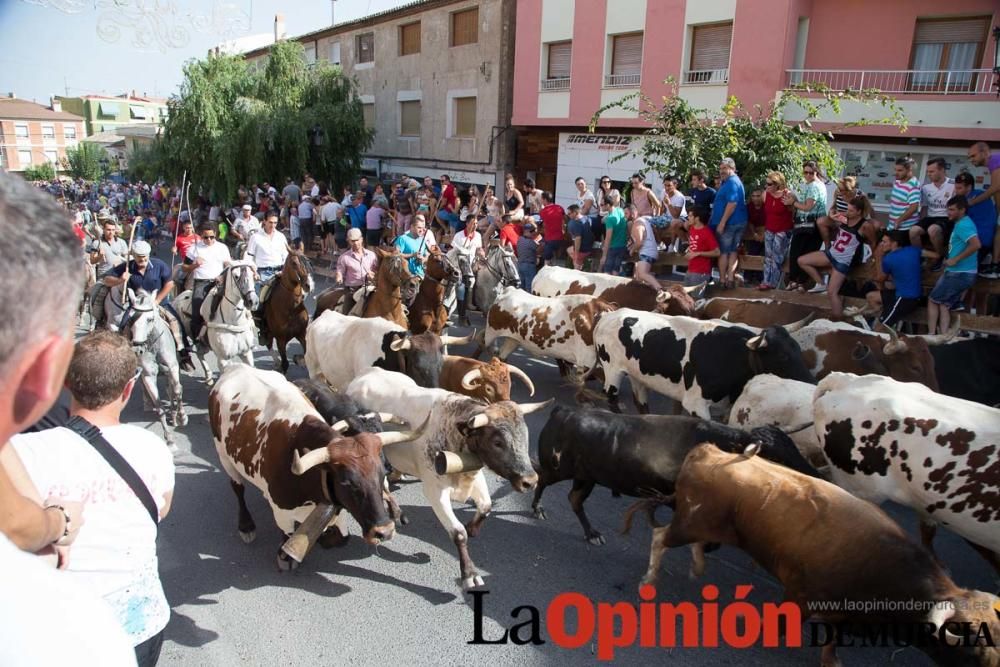 Quinto encierro en Moratalla