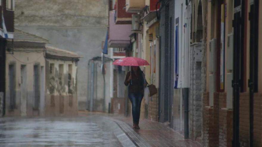 Una imagen captada esta mañana en San Fulgencio.