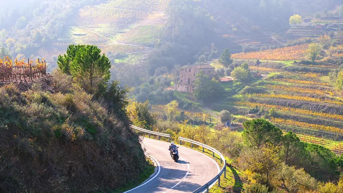Carreteras que serpentean entre viñedos del Priorat, uno de los paisajes vinícolas más espectaculares de Cataluña.