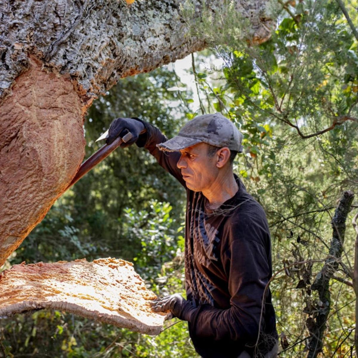 Fotografía del proyecto ’Sentir el alcornocal’.