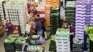 zentauroepp53349372 bcn mercabarna200508192826