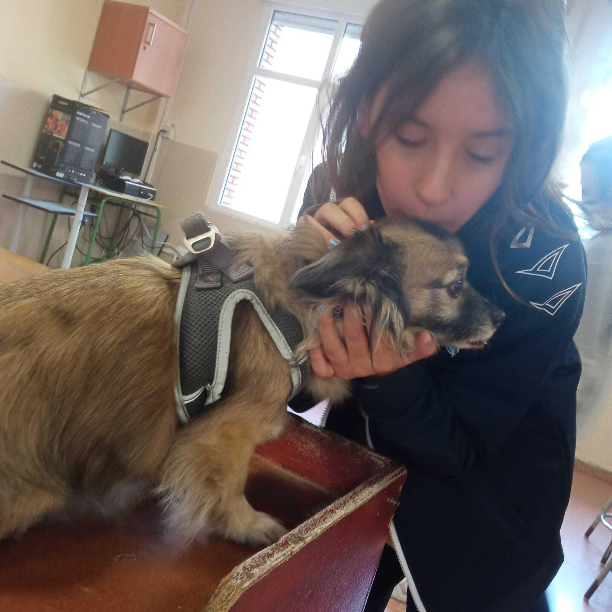 El taller para gestión de emociones con perros en el colegio Cervantes, en imágenes