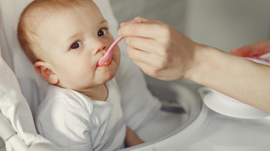 6 falsas creencias sobre alimentación infantil que hoy nos seguimos tragando