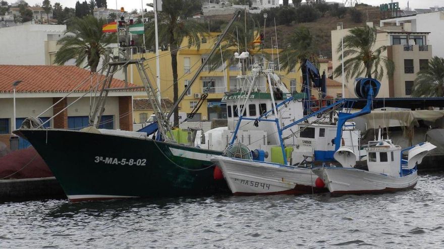 La pesca espera mejorar este verano sus cifras de capturas en la provincia