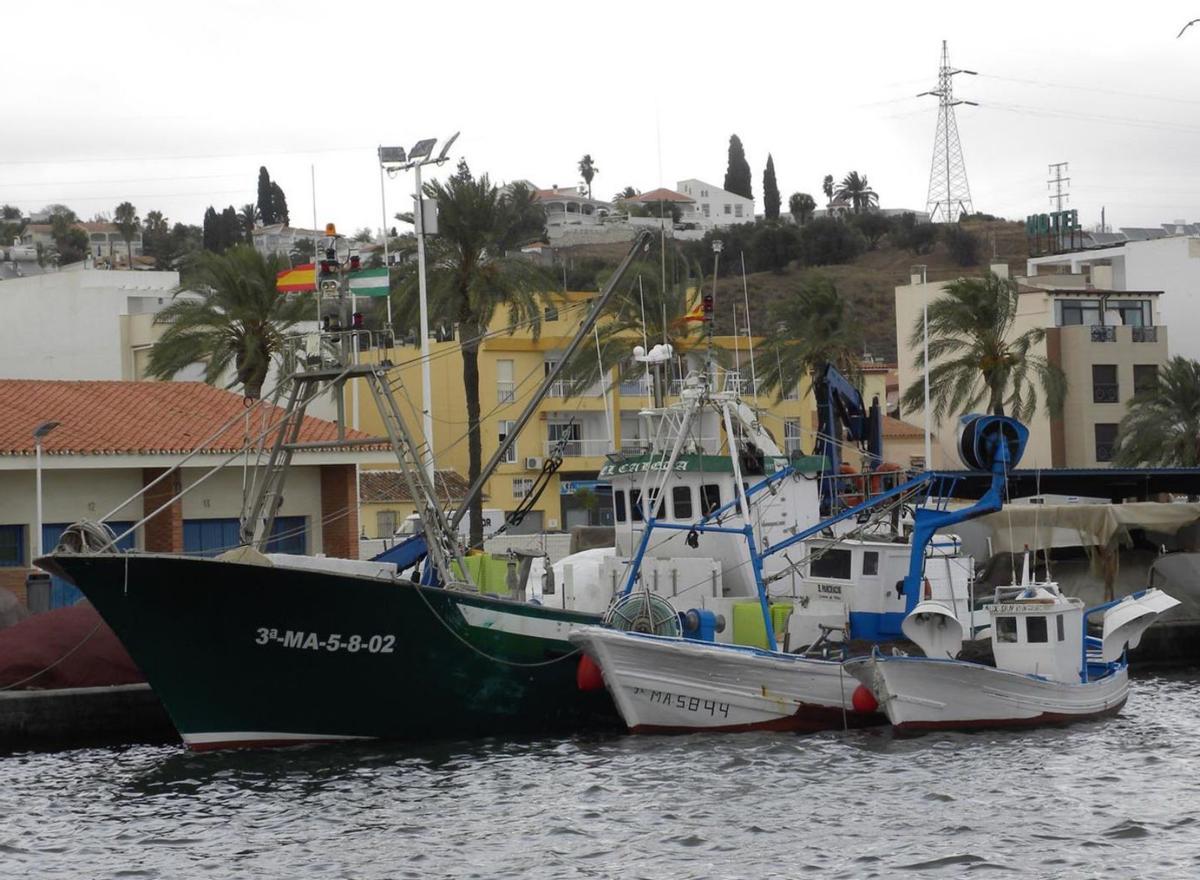 El puerto de Caleta de Vélez es el más productivo de todo el Mediterráneo andaluz. | F. E.