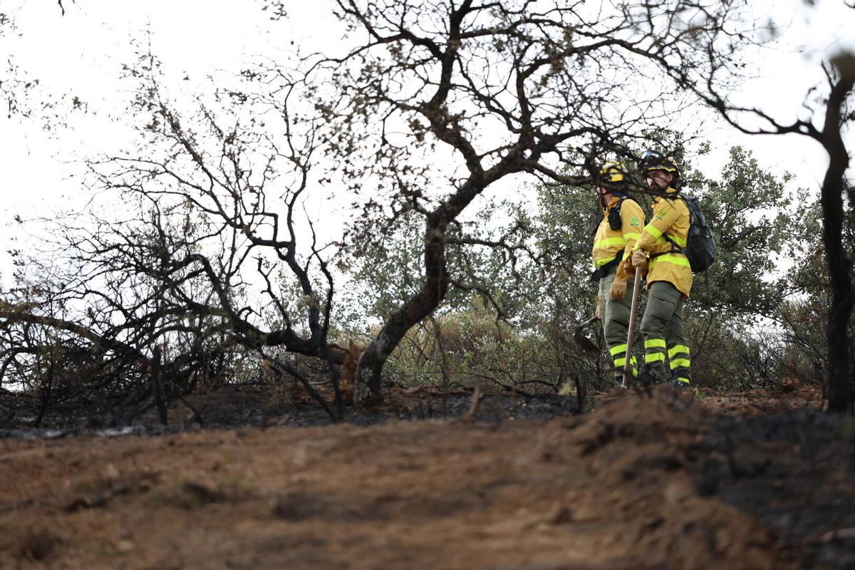 El Infoca trabaja en la extinción del incendio de Las Jaras en la sierra de Córdoba
