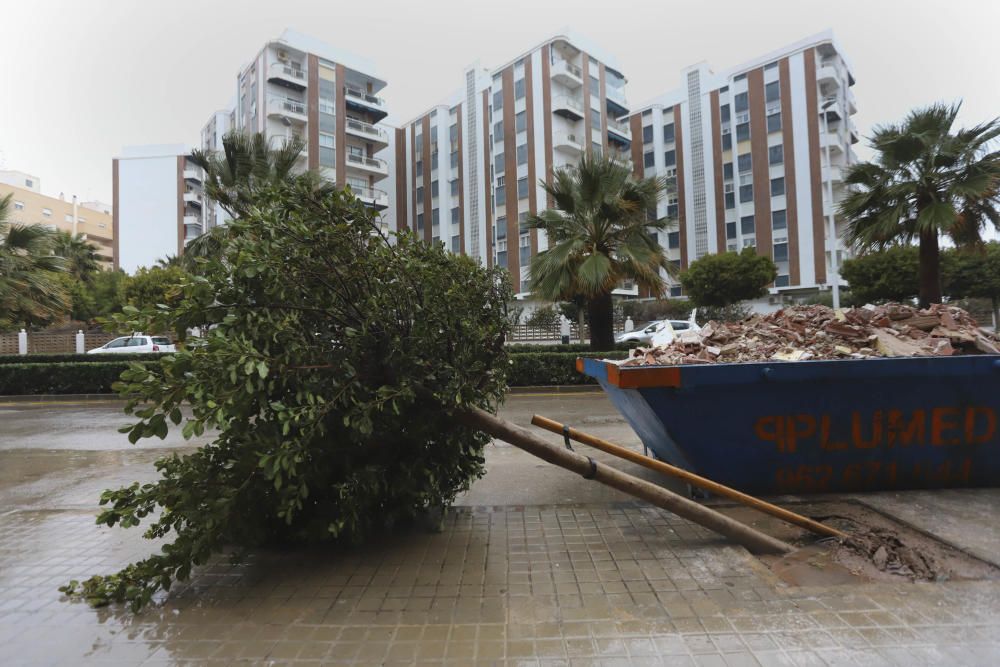 Daños del temporal en el Port de Sagunt.