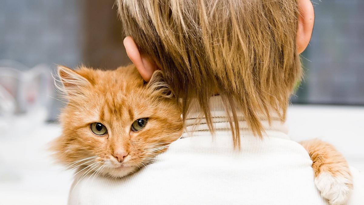 Un estudio científico demuestra que los gatos maúllan más a los hombres que a las mujeres