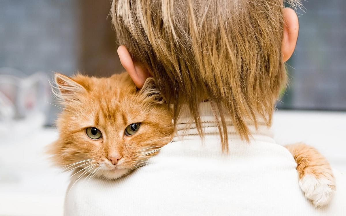 Un estudio científico demuestra que los gatos maúllan más a los hombres que a las mujeres