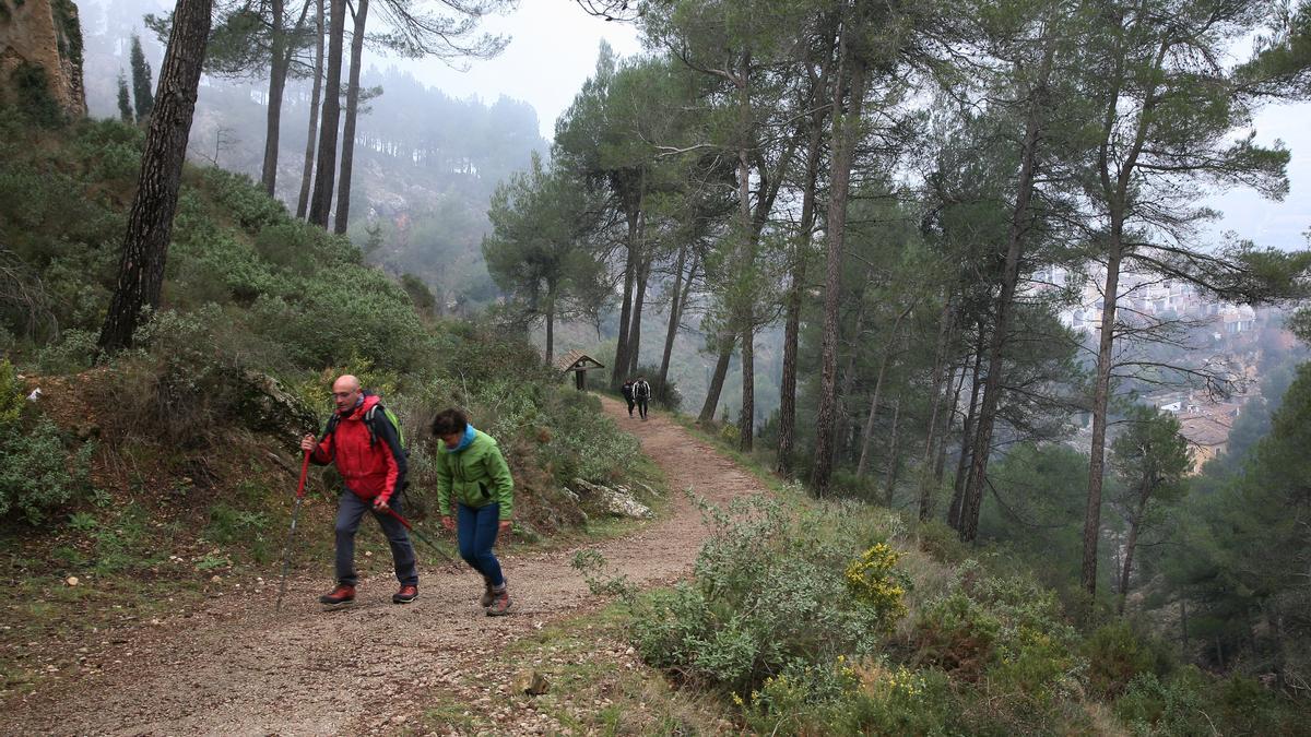 Una de las rutas que se pueden hacer en la sierra de Mariola.