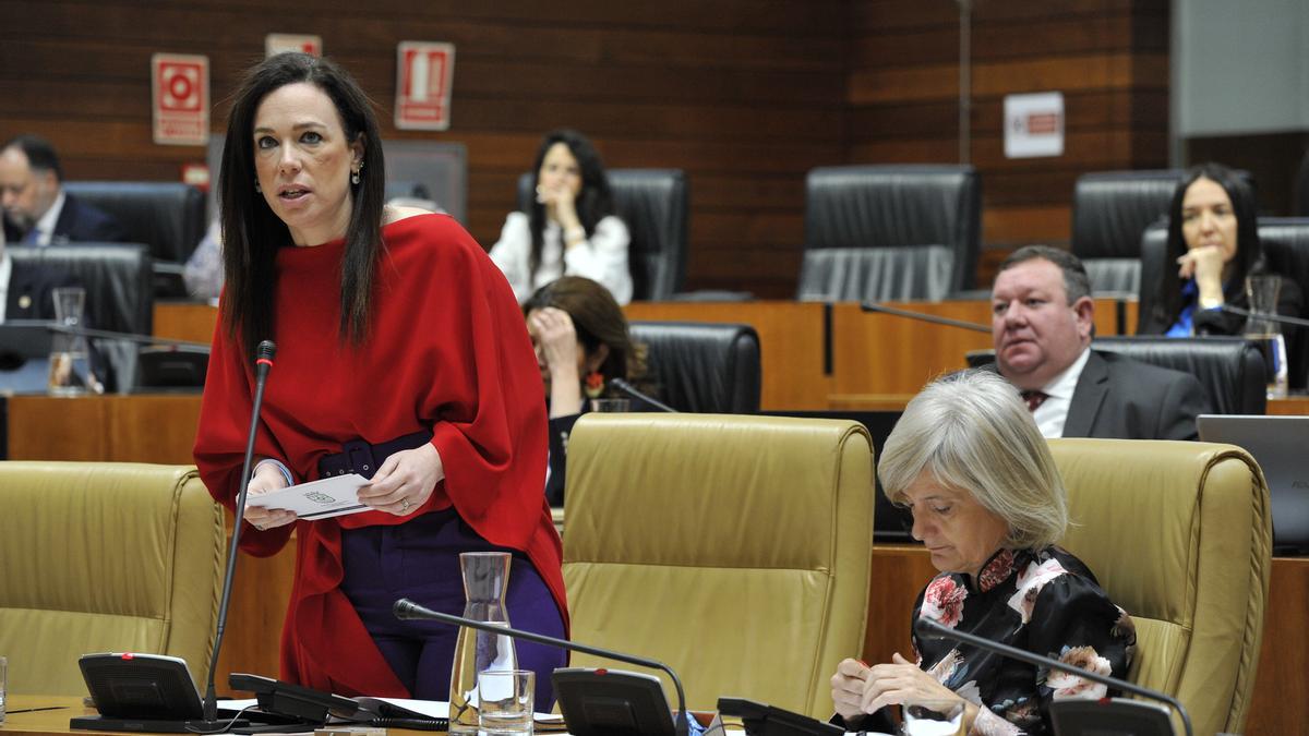 La consejera de Salud y Política Social, Sara García Espada, en el pleno de la Asamblea.