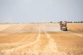 Cuatro de cada diez ocupados en el sector de la agricultura en la Región son jóvenes