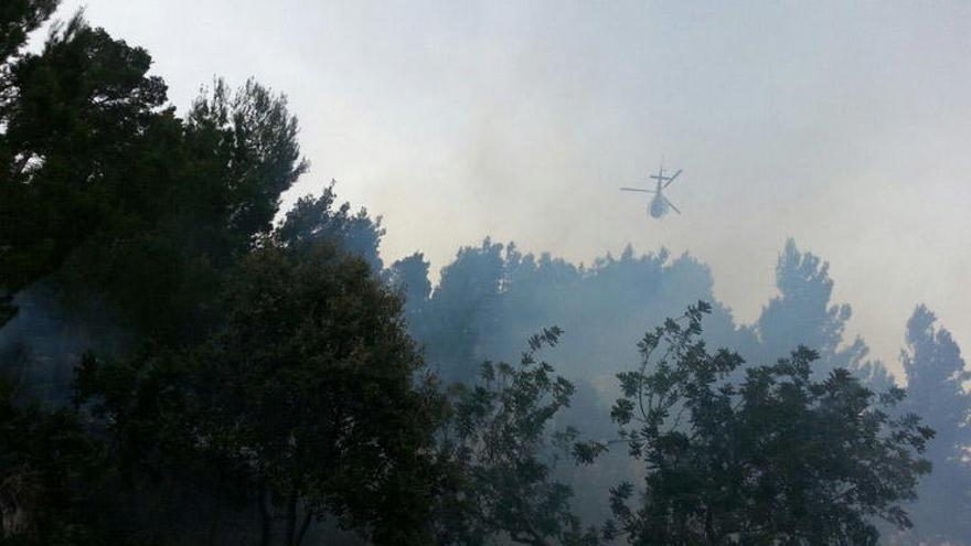 Feuerwehr löscht vier Waldbrände an einem Tag