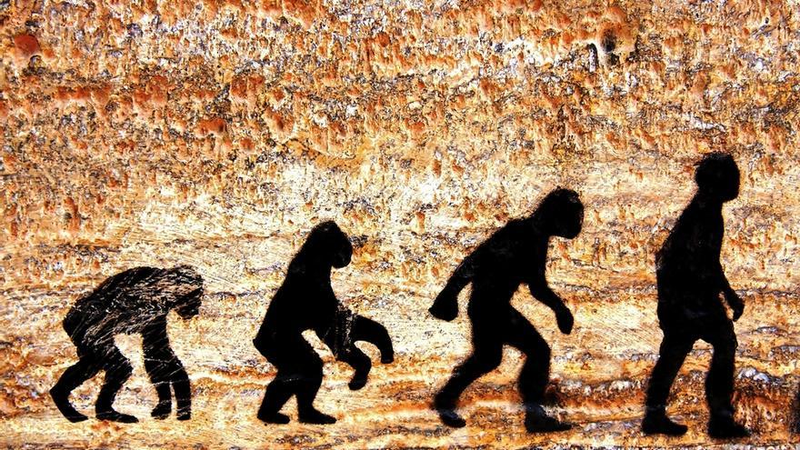 Los humanos compartimos más del 95% de los genes con otras especies