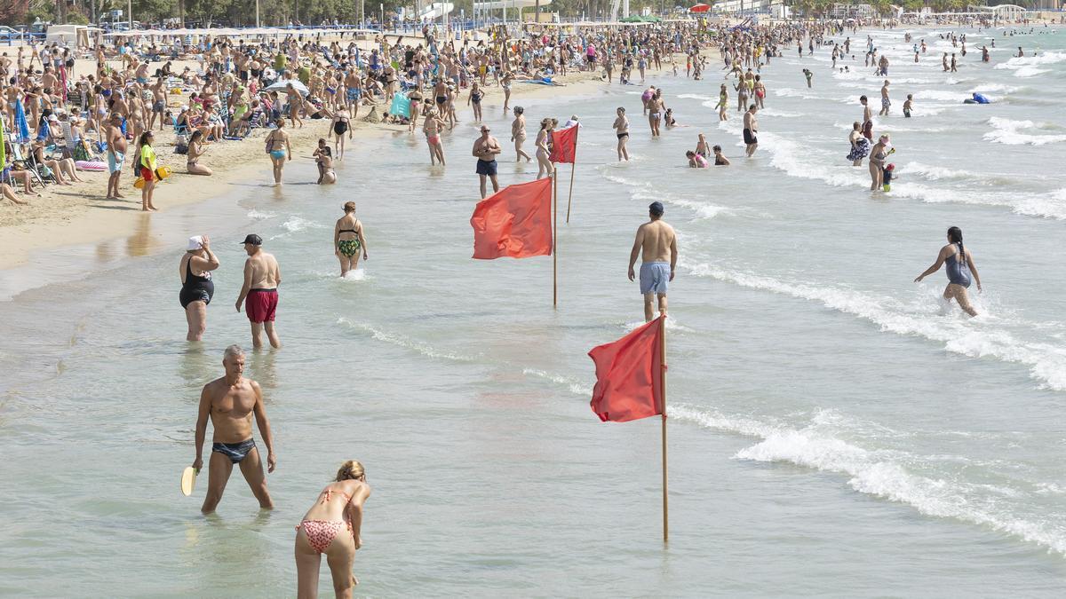 Bañistas metiéndose en el agua ayer en la playa del Postiguet de Alicante ajenos a la bandera roja