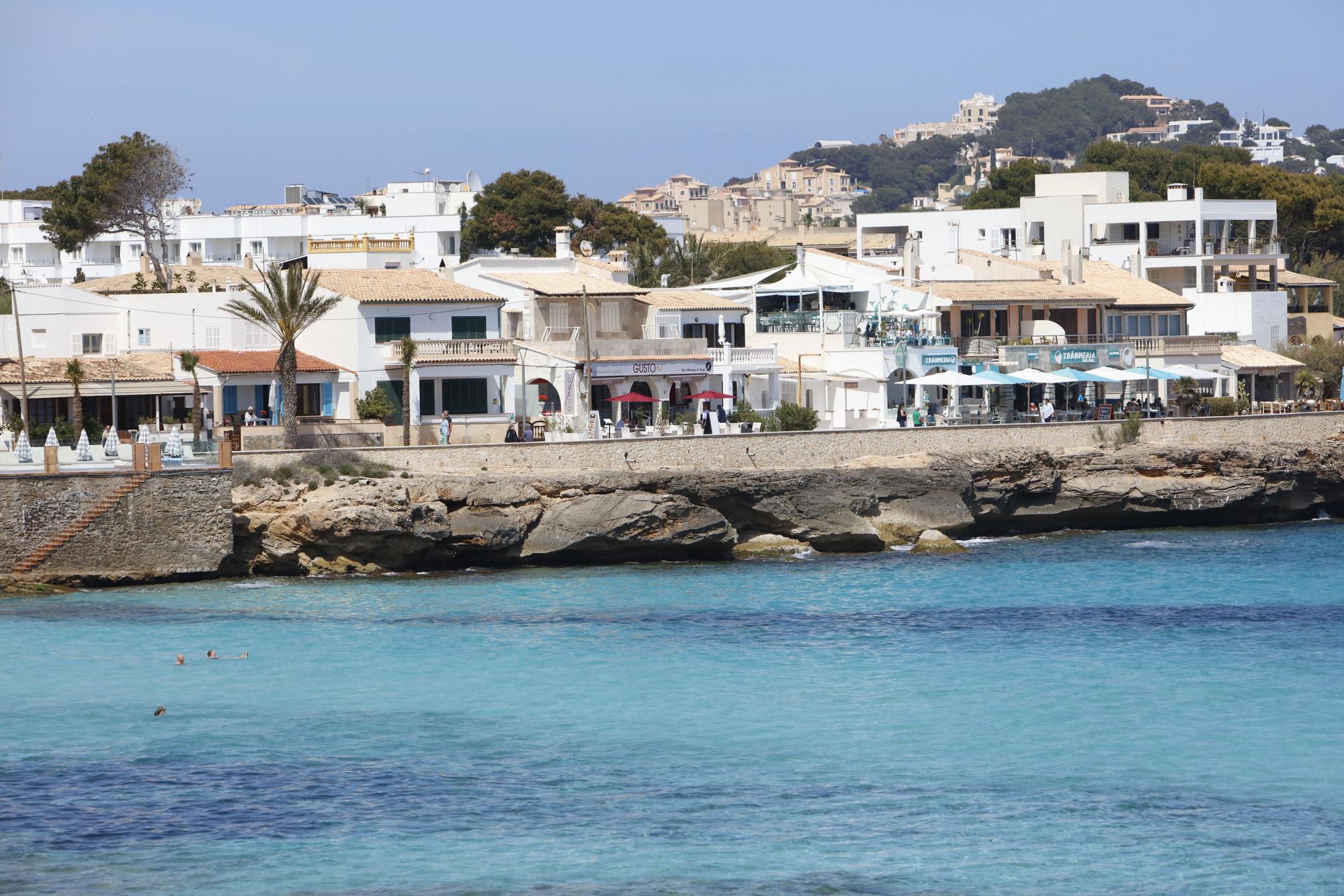 Frühlingsgefühle an der Promenade von Cala Ratjada