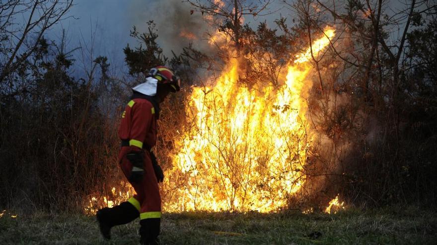 &quot;Hazte un cortafuegos&quot; en la barba o ceja en defensa de los bomberos forestales