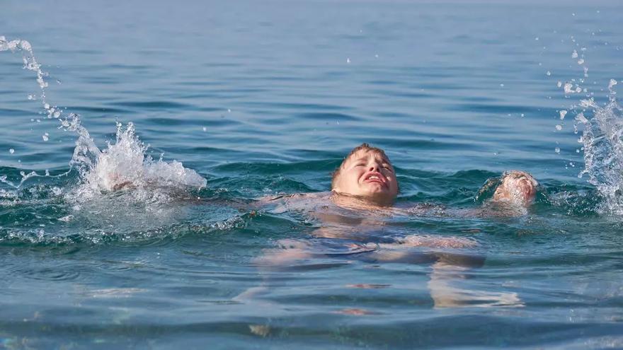 La plaga animal que preocupa els estiuejants de la Costa Brava: ni taurons ni mosquits