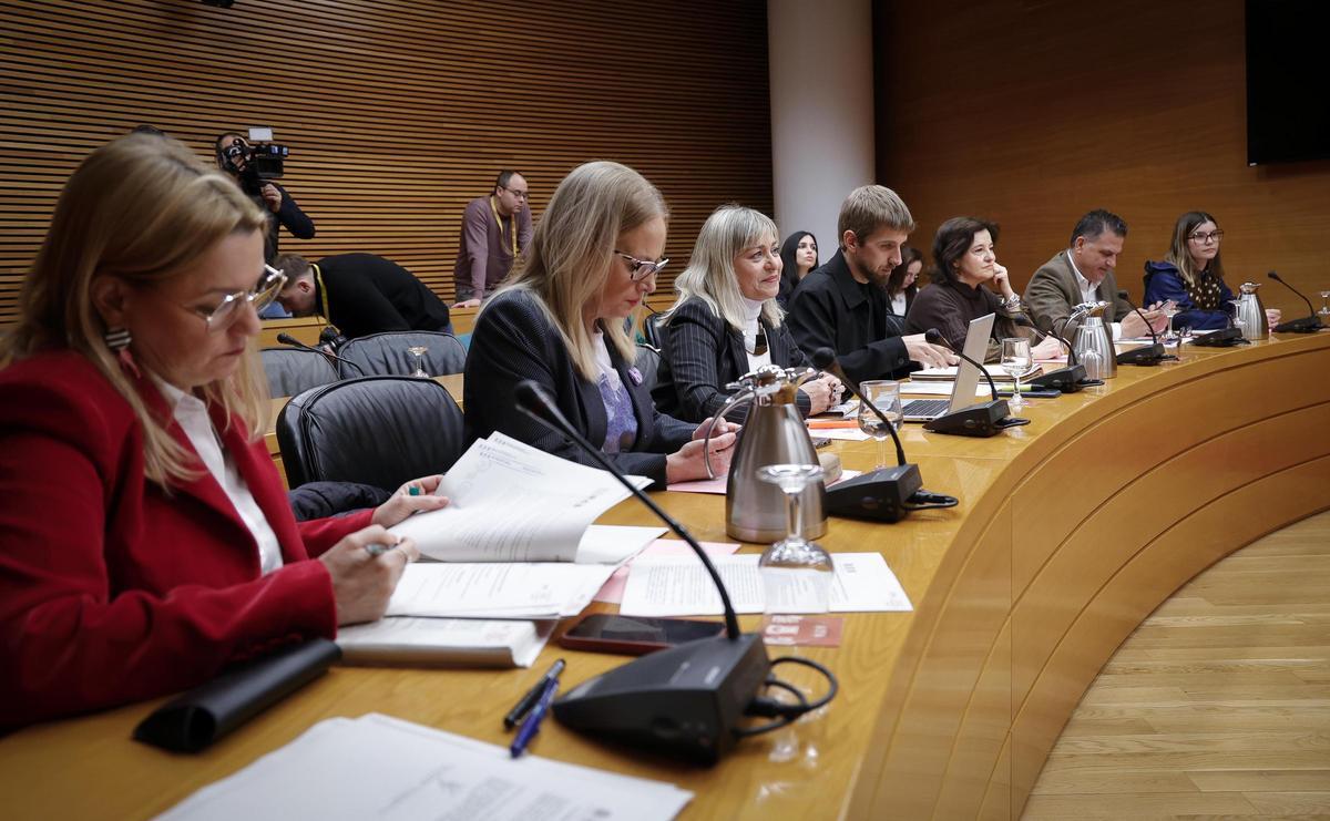 Los diputados asisten a la comisión de las Corts donde se han votado las enmiendas a la Renta de Inclusión, este martes.