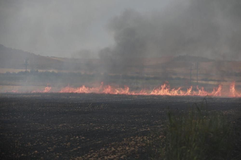 El incendio en el polígono industrial Campo de aviación de Coreses, en imágenes