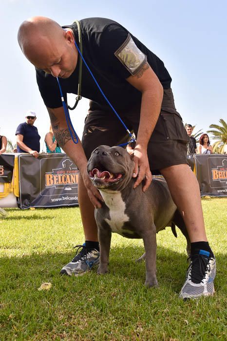 II Feria de mascotas, en Maspalomas