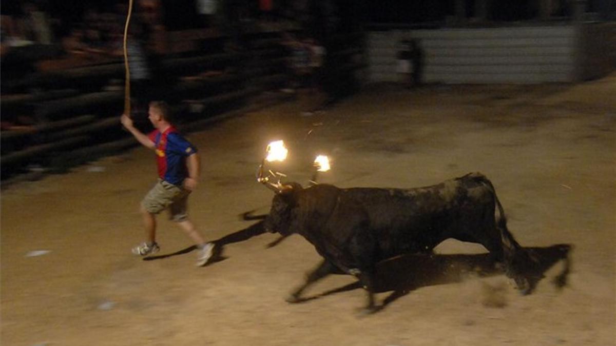 Un hombre corre ante un toro en el municipio de Poblenou del Delta (Montsià)