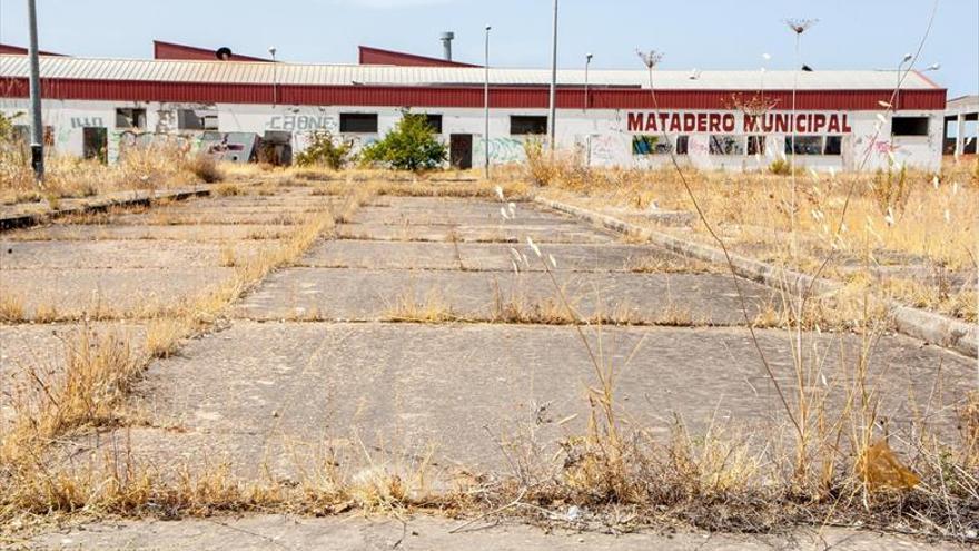 El PSOE pide un plan de viabilidad para dar uso al antiguo matadero