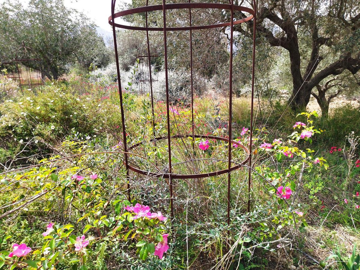 ¿Qué fue del jardín de los lirios de Bèrnia, en Benissa, el más grande de España?