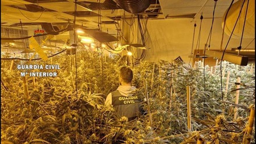 Tres detenidos por el cultivo de marihuana indoor en Alhaurín el Grande