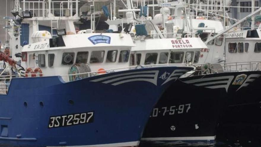 Flota de cerco dedicada a la captura de la anchoa amarrada en el puerto de A Coruña. / víctor echave